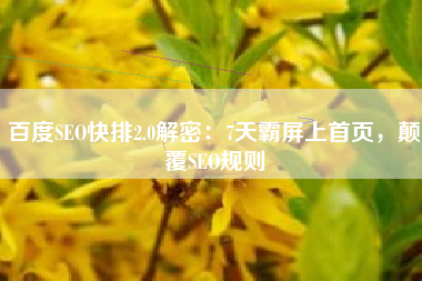 百度SEO快排2.0解密：7天霸屏上首页，颠覆SEO规则