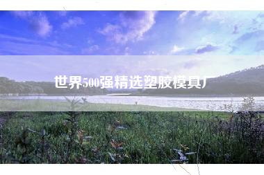 世界500强精选塑胶模具厂 世界500强精选塑胶模具厂