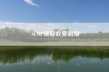 SCMP项目收费明细