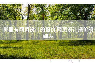 哪里有网页设计的报价,网页设计报价明细表