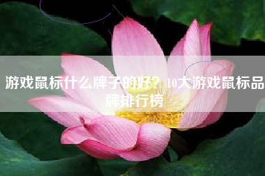 游戏鼠标什么牌子的好？10大游戏鼠标品牌排行榜