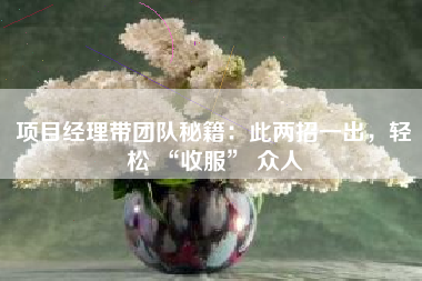 项目经理带团队秘籍：此两招一出，轻松 “收服” 众人