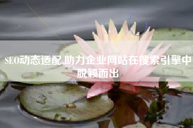 SEO动态适配,助力企业网站在搜索引擎中脱颖而出