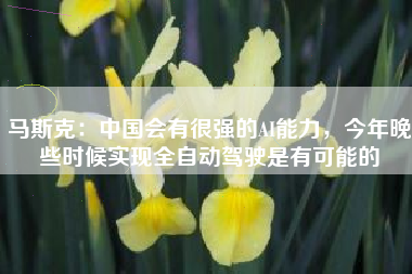 马斯克：中国会有很强的AI能力，今年晚些时候实现全自动驾驶是有可能的