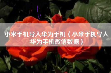 小米手机导入华为手机（小米手机导入华为手机微信数据）