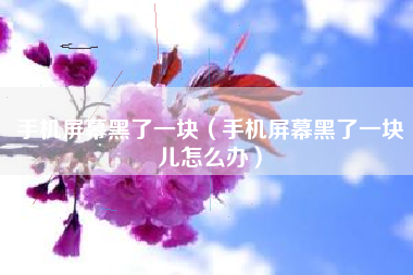 手机屏幕黑了一块（手机屏幕黑了一块儿怎么办）
