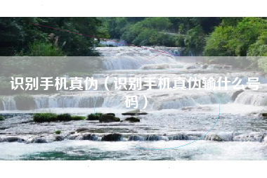 识别手机真伪（识别手机真伪输什么号码）