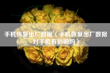 手机恢复出厂数据（手机恢复出厂数据对手机有影响吗）
