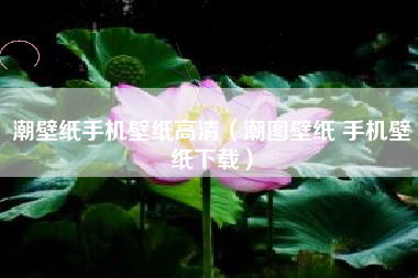 潮壁纸手机壁纸高清（潮图壁纸 手机壁纸下载）