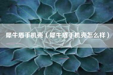 犀牛盾手机壳（犀牛盾手机壳怎么样）