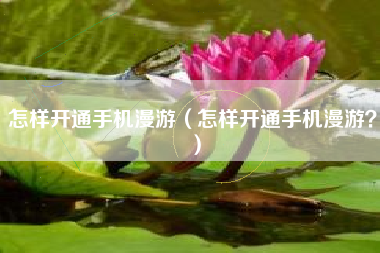 怎样开通手机漫游（怎样开通手机漫游？）