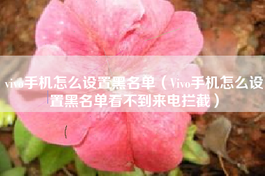 vivo手机怎么设置黑名单（Vivo手机怎么设置黑名单看不到来电拦截）