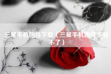 三星手机固件下载（三星手机固件下载不了）