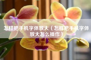 怎样把手机字体放大（怎样把手机字体放大怎么操作）