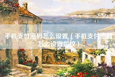 手机支付密码怎么设置（手机支付密码怎么设置指纹）