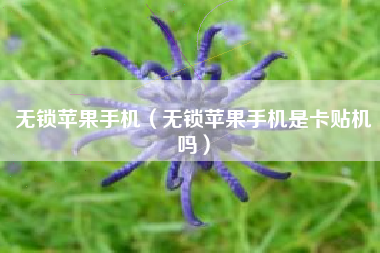 无锁苹果手机（无锁苹果手机是卡贴机吗）