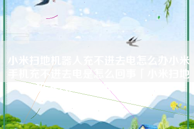 小米扫地机器人充不进去电怎么办小米手机充不进去电是怎么回事「小米扫地机器人充不进去电怎么办」