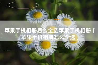 苹果手机相册怎么全选苹果手机相册「苹果手机相册怎么全选」