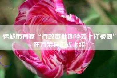 运城市首家“行政审批勘验云上样板间”在万荣县正式上线