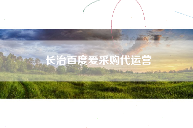 长治百度爱采购代运营